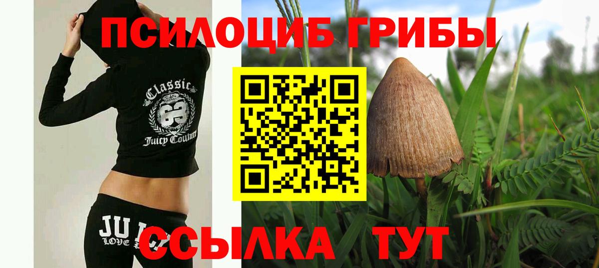 Псилоцибиновые грибы Psilocybe Трёхгорный
